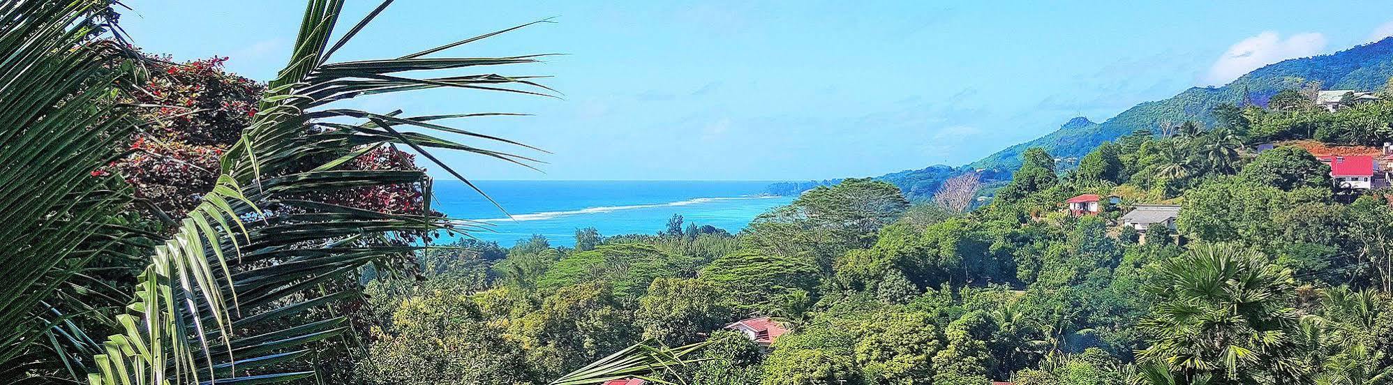 Lime Hill Lodge Anse aux Pins Екстериор снимка